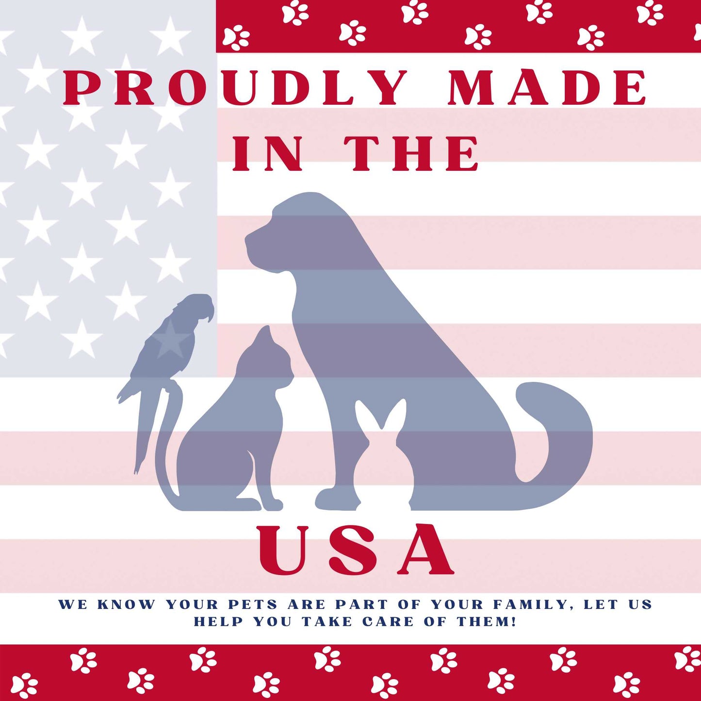 Piccardmeds4pets Advanced Ear Cleansing Solution 4oz Salicylic Acid Aloe Dogs Cats + FREE Bandana!