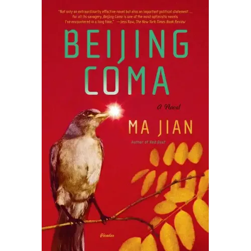 Beijing Coma