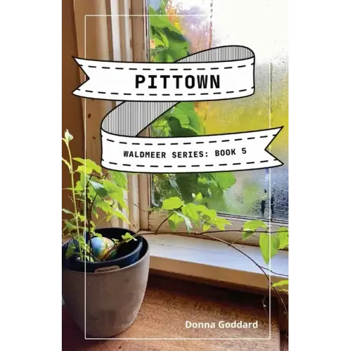 Pittown: A Spiritual Fiction Series