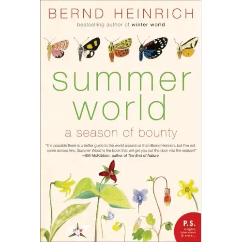 Summer World