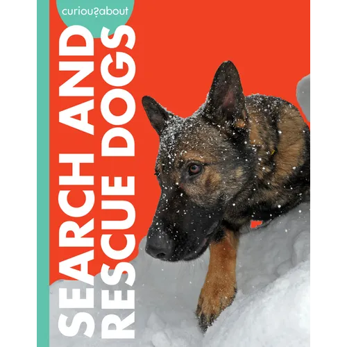 Curious about Search and Rescue Dogs