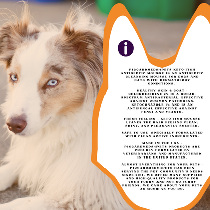 Piccardmeds4pets Keto-Itch Plus Antiseptic Mousse for Cats & Dogs 7 oz. + FREE Bandana!