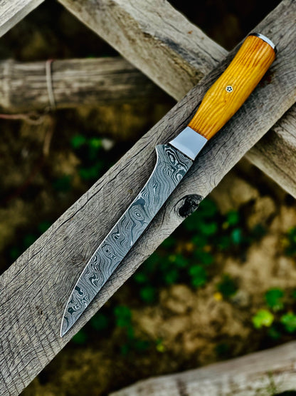 Fishing fillet knives