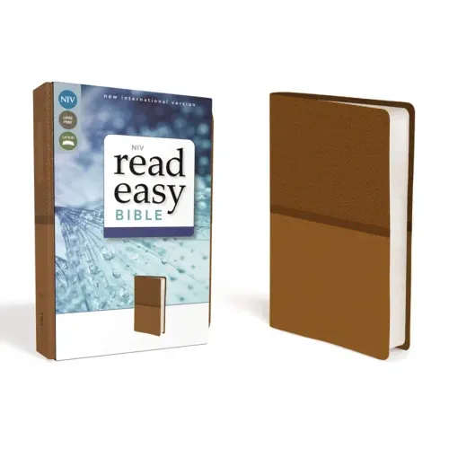 NIV Readeasy Bible