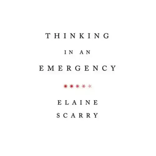 Thinking in an Emergency