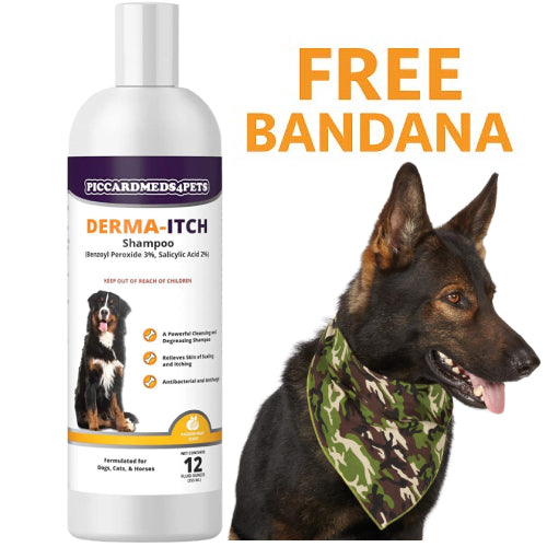 Piccardmeds4pets Derma-Itch Shampoo for Dogs 12 oz. + FREE Camo Bandana!