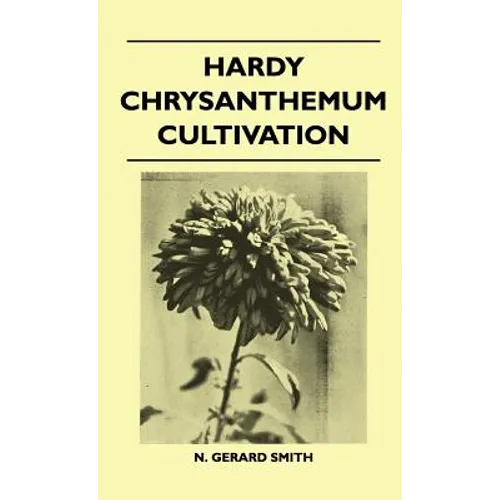 Hardy Chrysanthemum Cultivation