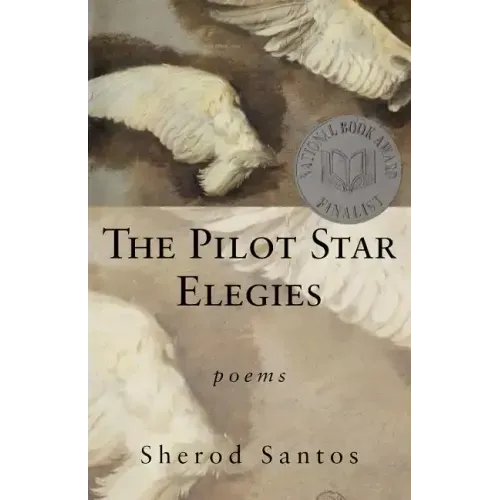 The Pilot Star Elegies: Poems