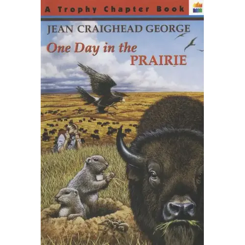 One Day in the Prairie