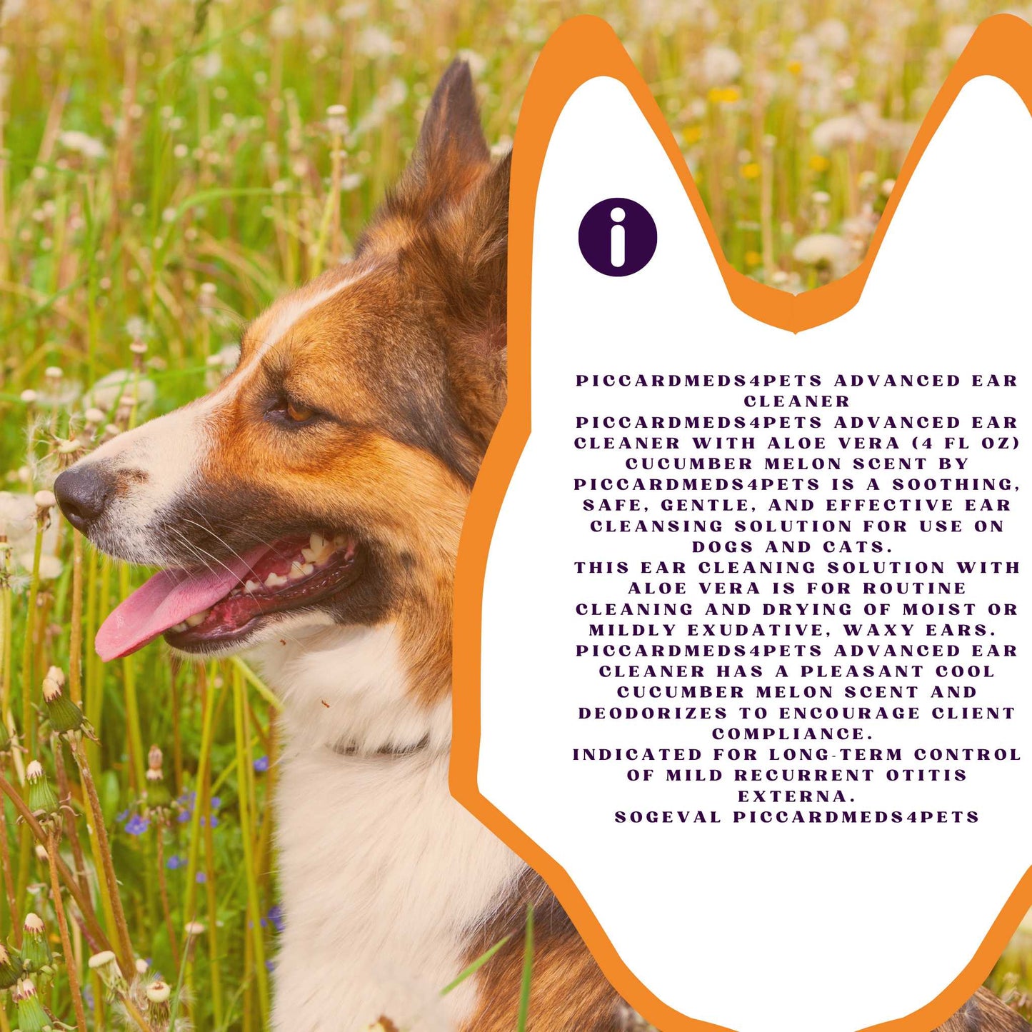 Piccardmeds4pets Advanced Ear Cleansing Solution 4oz Salicylic Acid Aloe Dogs Cats + FREE Bandana!
