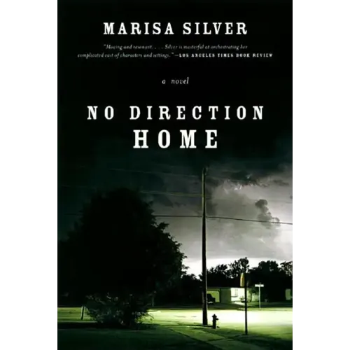 No Direction Home