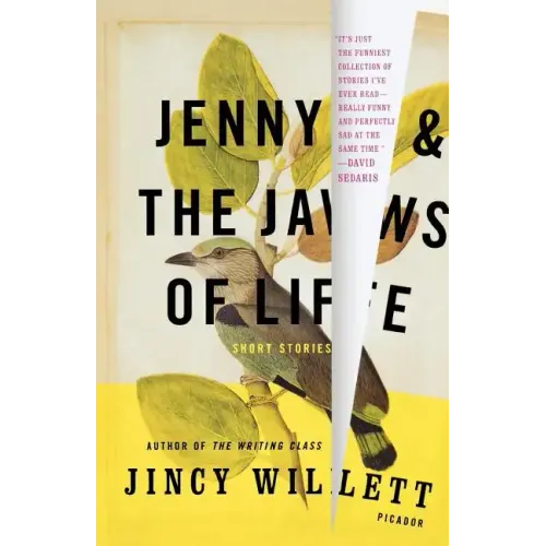 Jenny and the Jaws of Life: Short Stories