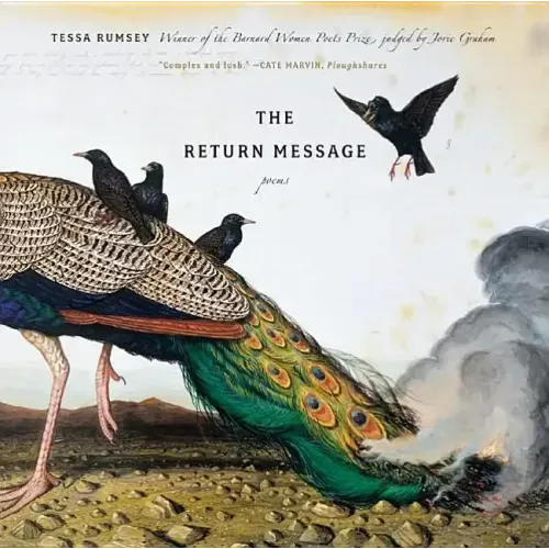Return Message: Poems