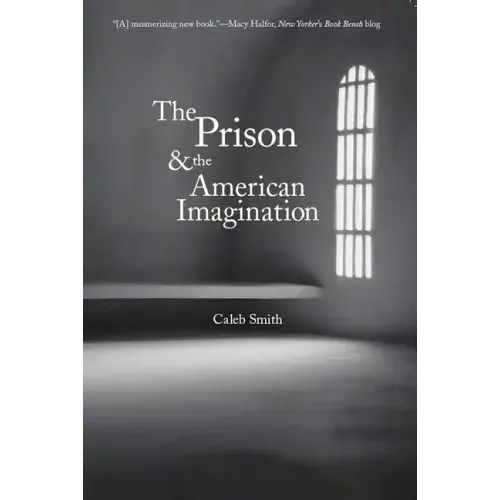 The Prison and the American Imagination