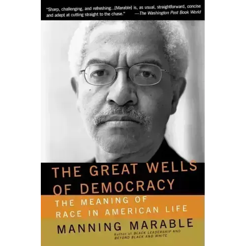 The Great Wells of Democracy: The Meaning of Race in American Life