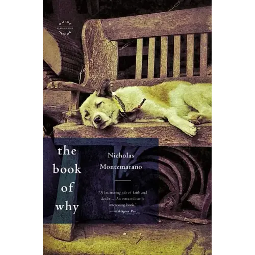 The Book of Why