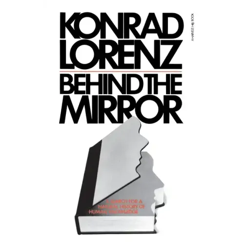 Behind the Mirror