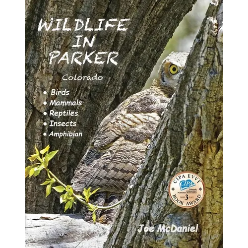 Wildlife In Parker: Colorado