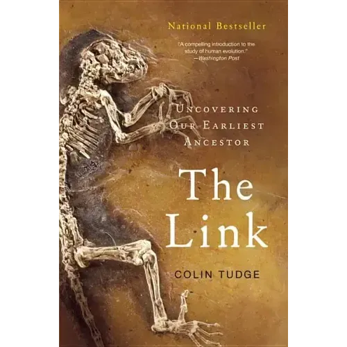 The Link