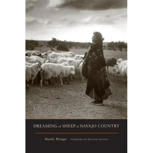 Dreaming of Sheep in Navajo Country