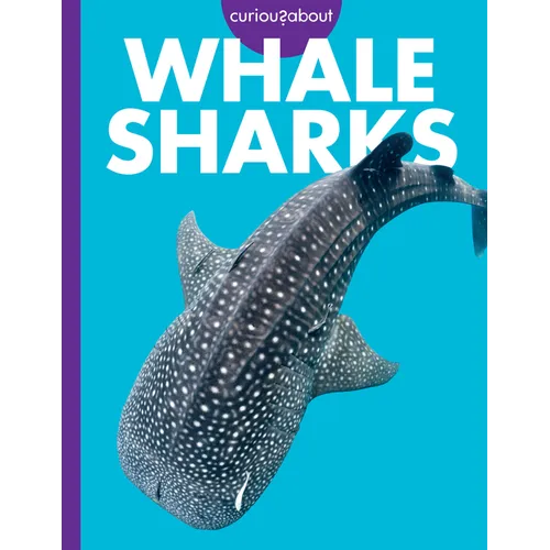 Curious about Whale Sharks