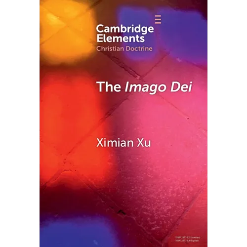 The Imago Dei: A Holistic Account